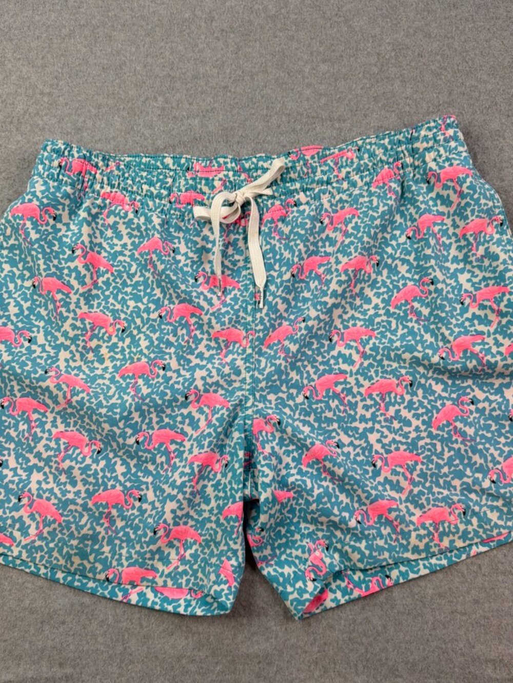 Chubbies 5.5" Swim Short Medium Pink Turquoise Lined Domingos are for Flamingos
